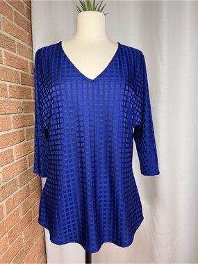 NYGARD COLLECTION Blue V-Neck Semi Sheer Top - Classic Comfort